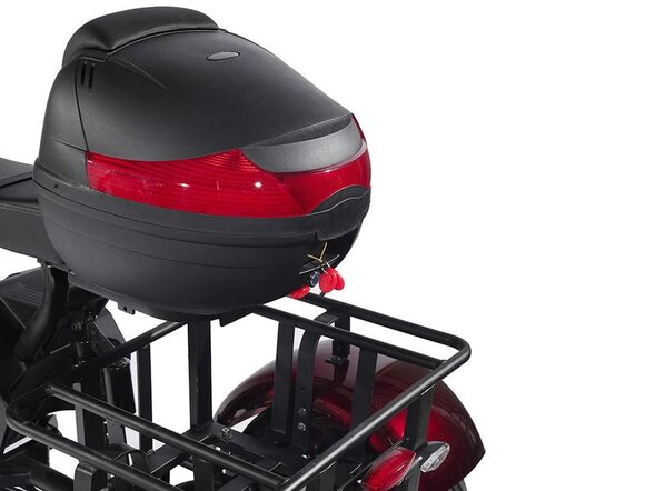 Электроскутер SKYBOARD TRIKE BR80